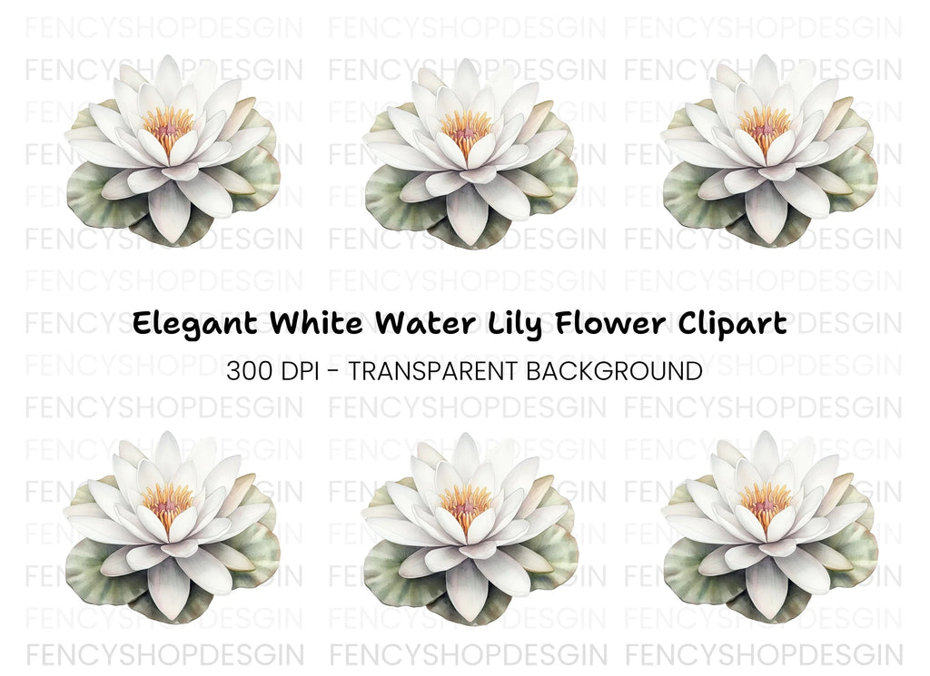 Elegant White Water Lily Clipart Bundle
