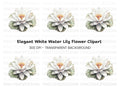 Elegant White Water Lily Clipart Bundle
