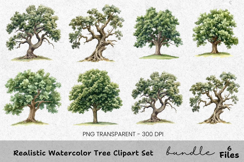 Realistic Tree Clipart Bundle
