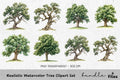 Realistic Tree Clipart Bundle
