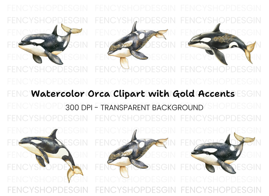 Majestic Orca Whale Clipart Bundle