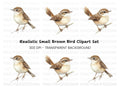 Small Brown Bird Perched Clipart Bundle