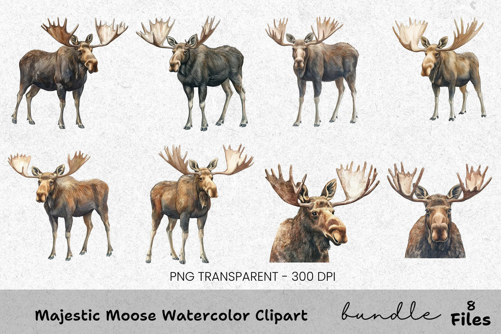 Majestic Moose Clipart Bundle