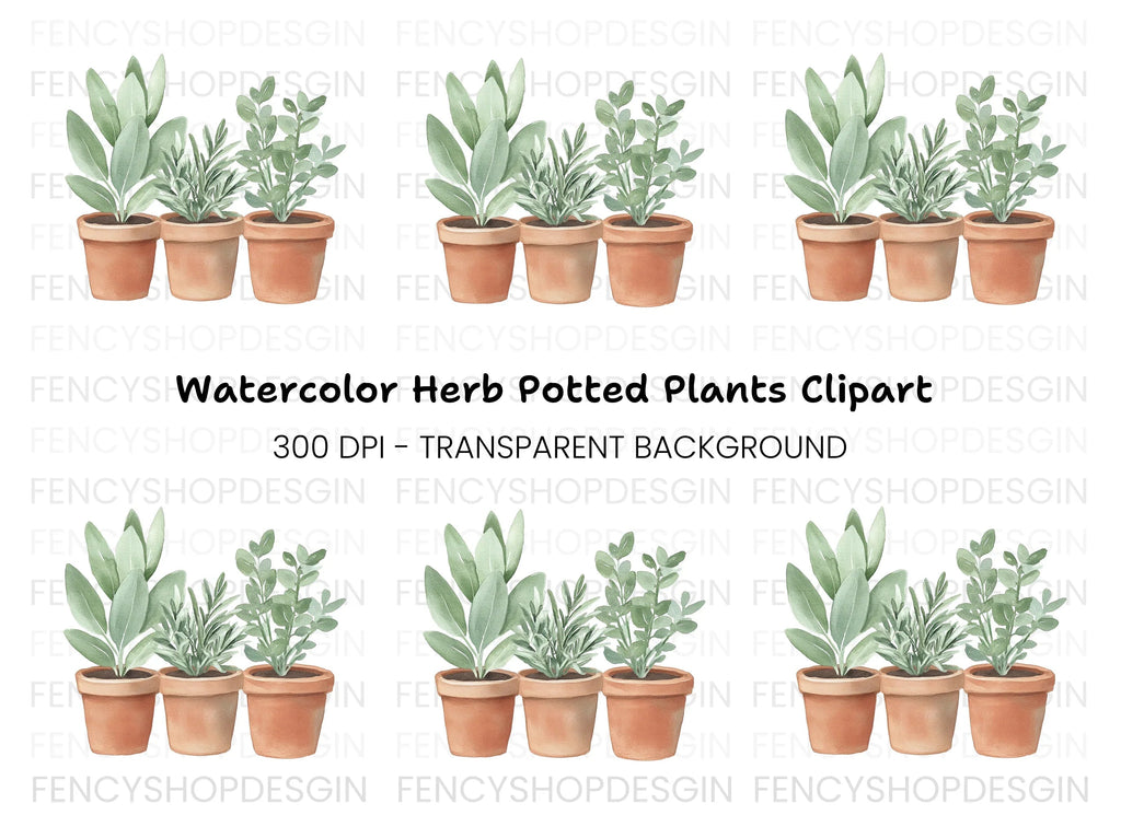 Herb Plants in Terracotta Pots Clipart Bundle