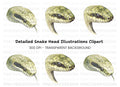 Detailed Snake Head Clipart Bundle