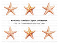 Starfish Clipart Bundle
