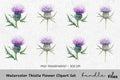 Thistle Flower Clipart Bundle