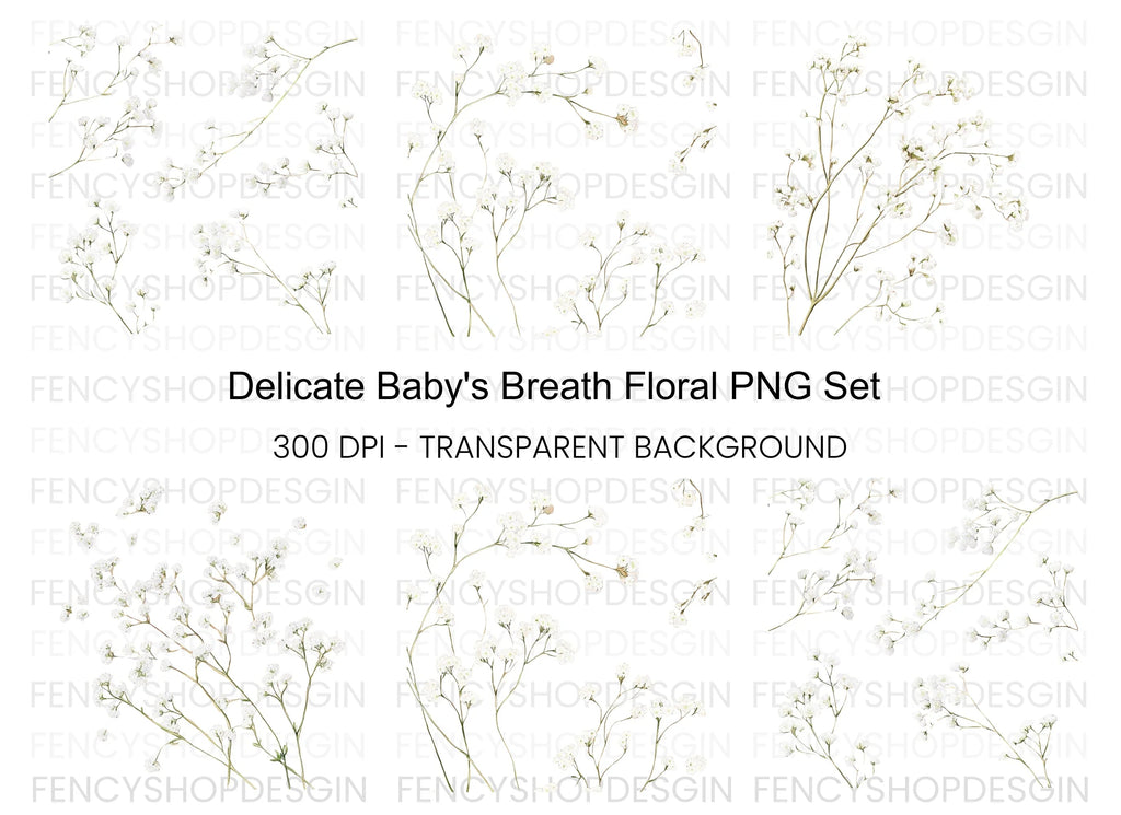 Delicate Baby Breath Clipart Bundle