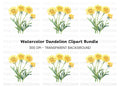 Dandelion Clipart Bundle