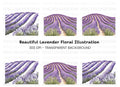 Stunning Lavender Field Clipart Bundle
