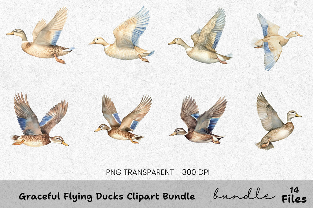 Graceful Flying Ducks Clipart Bundle