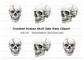 Cracked Skull Side View Clipart Bundle