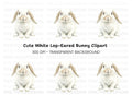 Adorable White Lop Eared Bunny Clipart Bundle