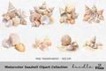 Seashell Clipart Bundle