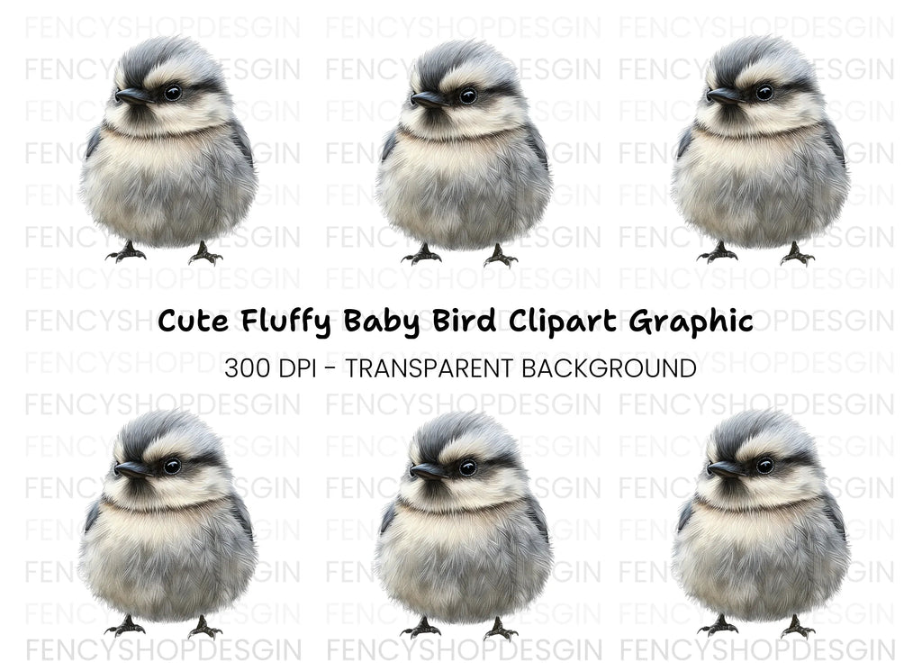 Cute Baby Bird Illustration Clipart Bundle