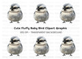 Cute Baby Bird Illustration Clipart Bundle