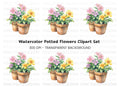 Charming Potted Pansies Clipart Bundle