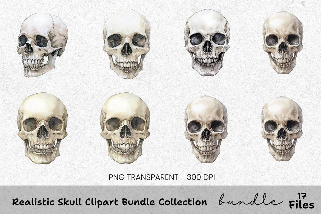 Realistic Skull Clipart Bundle