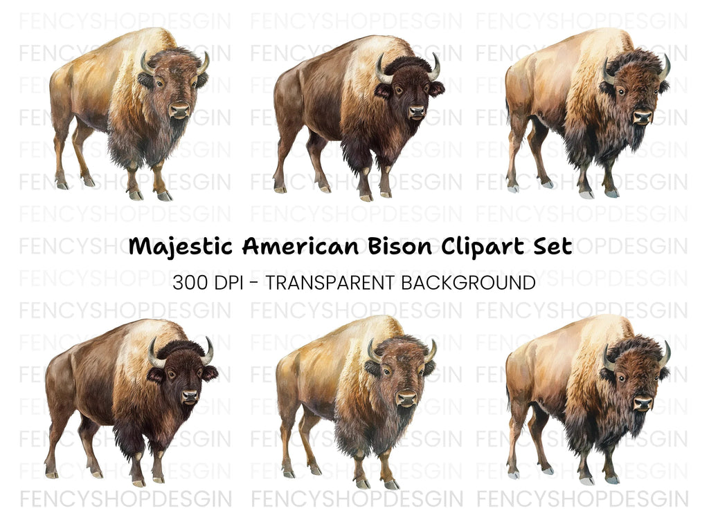 Majestic Bison Clipart Bundle