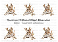 Driftwood Clipart Bundle