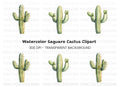 Saguaro Cactus Clipart Bundle