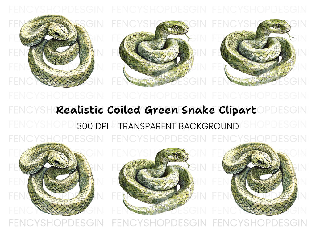 Realistic Green Snake Illustrations Clipart Bundle