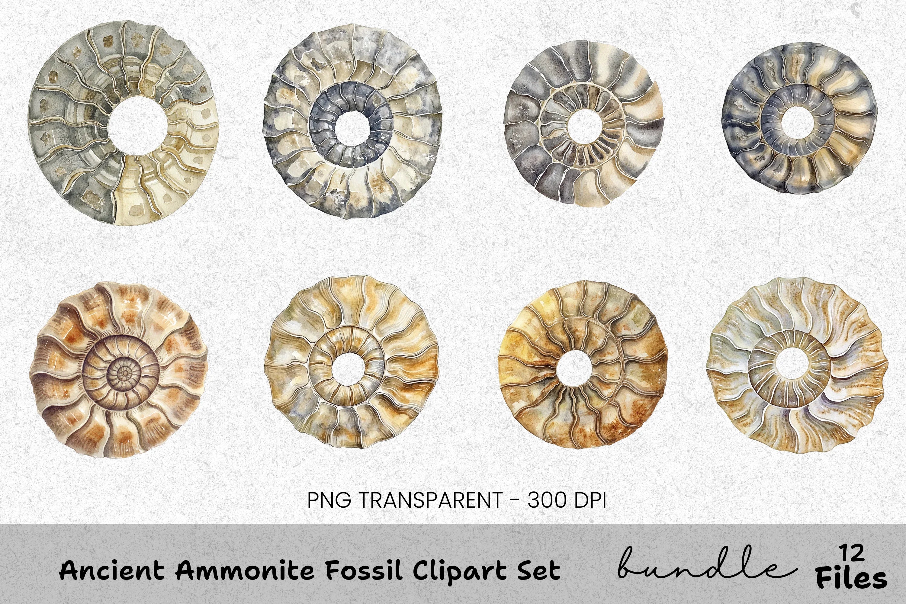 Ancient Ammonite Fossil Clipart Bundle