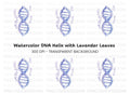 DNA Strand with Lavender Clipart Bundle
