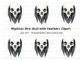 Bird Skull with Feathers Clipart Bundle