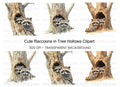 Raccoon Couple in Tree Hole Clipart Bundle