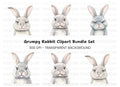 Grumpy Rabbit Faces Clipart Bundle