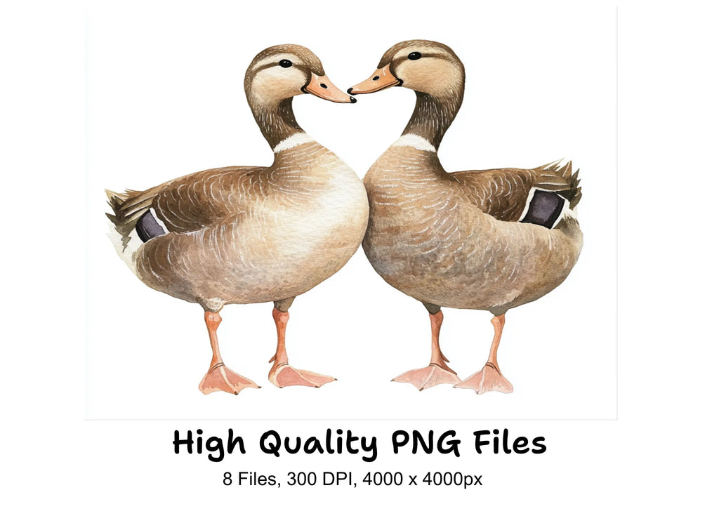 Cute Duckling Pair Clipart Bundle