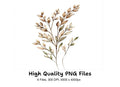 Botanical Clipart Bundle
