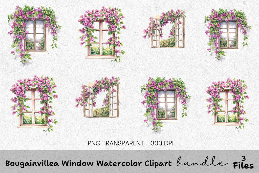 Bougainvillea Window Clipart Bundle