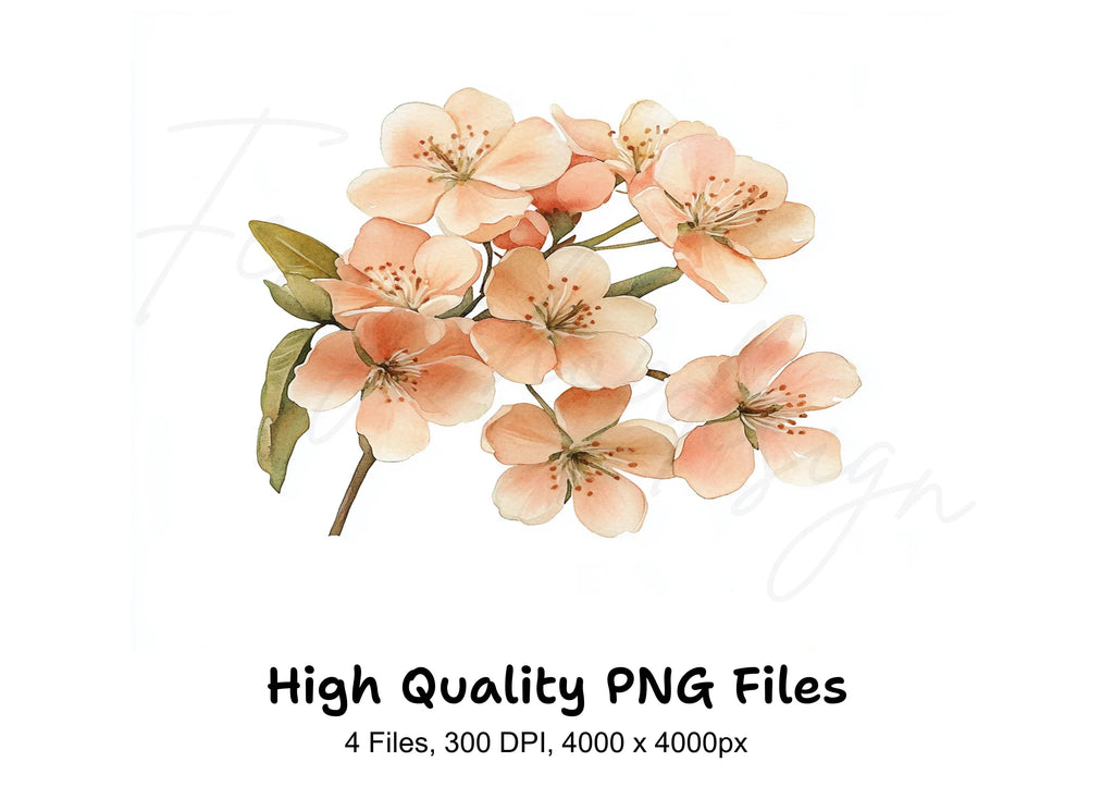 Cherry Blossom Clipart Bundle