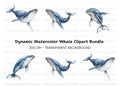 Humpback Whale Clipart Bundle
