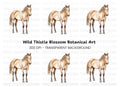 Palomino Horse Clipart Bundle