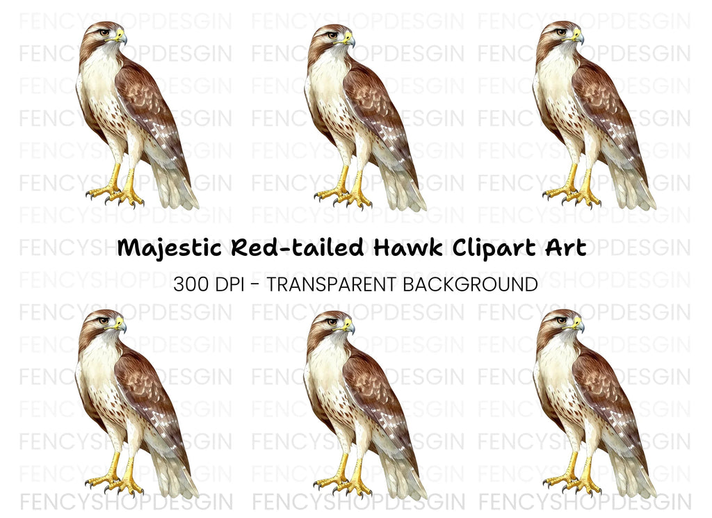 Majestic Red Tailed Hawk Clipart Bundle
