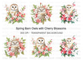 Floral Barn Owl Clipart Bundle