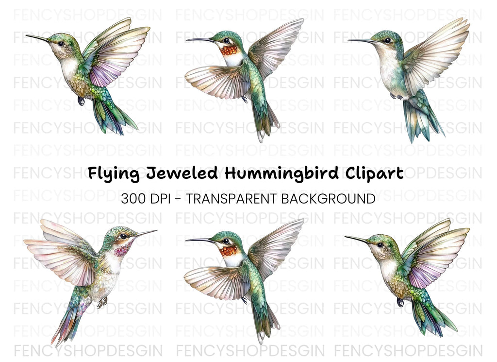 Hummingbird Clipart Bundle