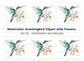 Hummingbird and Cherry Blossom Clipart Bundle