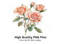 Elegant Peach Rose Clipart Bundle