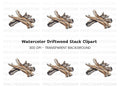 Rustic Driftwood Clipart Bundle