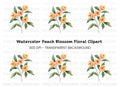 Orange Flower Branch Clipart Bundle
