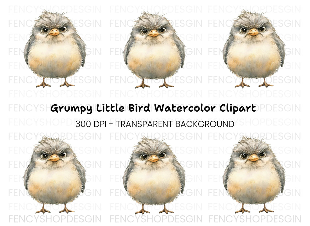 Furious Chick Illustration Clipart Bundle
