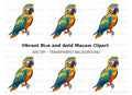 Vibrant Macaw Clipart Bundle
