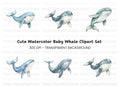 Cute Whale Clipart Bundle