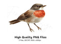 Robin Bird Clipart Bundle