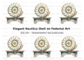 Elegant Nautilus Shell on Stone Pedestal Clipart Bundle