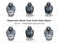Front Facing Crow Clipart Bundle